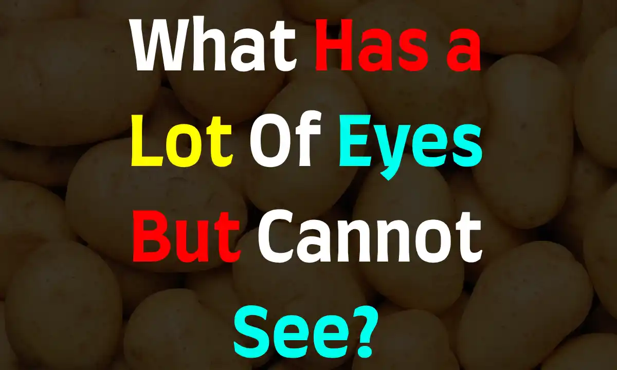 What Has a Lot Of Eyes But Cannot See?